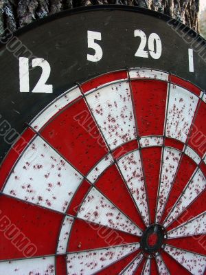 Dart Board