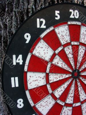 Old Dart Board