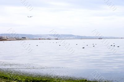 Environmental management