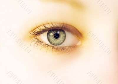 Eye soft Eye soft