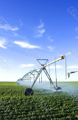 Pivot spray in a green field