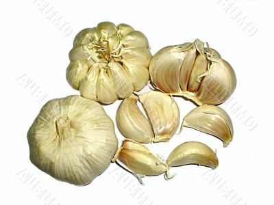 garlic herb