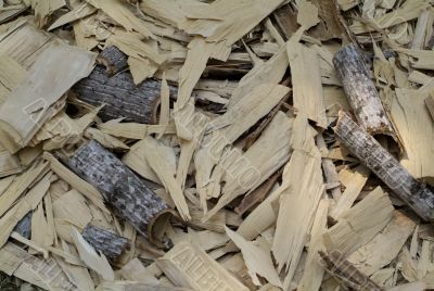 wood shavings
