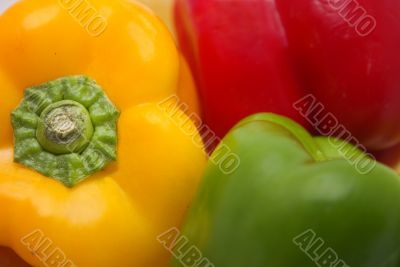 Colorful pepper abstract
