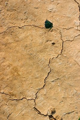 Cracked earth