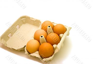Egg tray