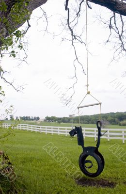 Tree Swing