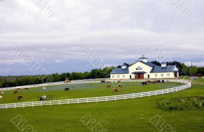 Stormy Morning on the Ranch