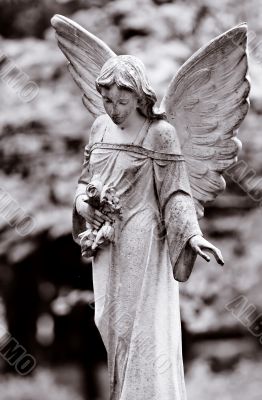 Winged angel