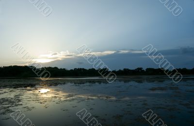 Swamp Sunset. Swamp Sunset.