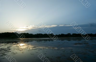 Swamp Sunset.