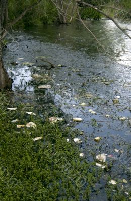 Man`s Disregard for Nature Man`s Disregard for Nature