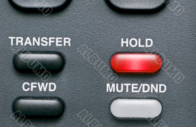 On Hold On Hold