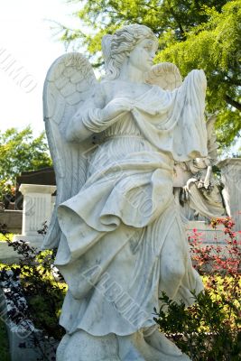 Lovely Angel Girl