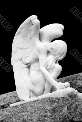 Crying angel Crying angel