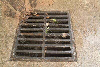 Rain Drain