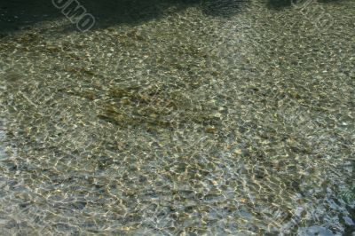 Sparkling reflections on creek bottom