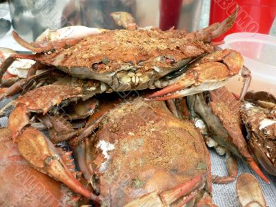 crab - cooked blue crabs 7