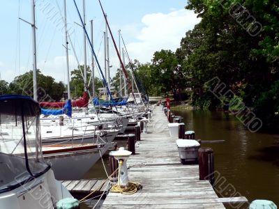 sailboats docked