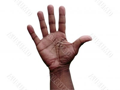 hand gesture - open
