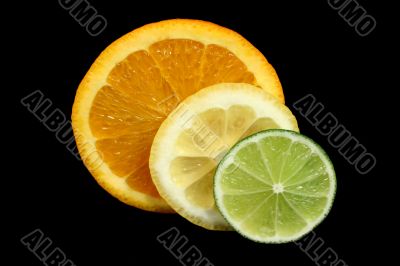 Citrus Slices