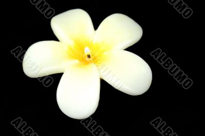 Frangipani Candle