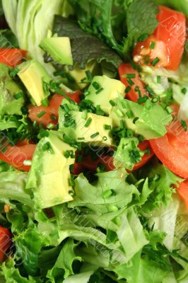 Fresh Avocado Salad
