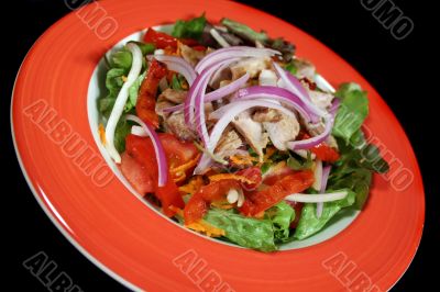 Grilled Chicken Salad 1