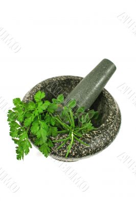 Mortar And Pestle with Fresh Herbs