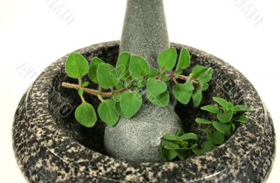 Mortar And Pestle With Oregano