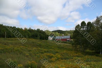 Barn	, in distance