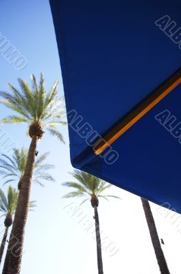 Umbrella Under Palms
