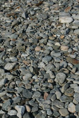 Granite pebbles, rounded by the ocean