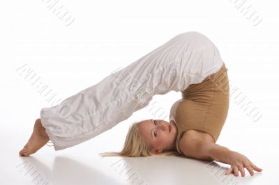 Fitness Fitness