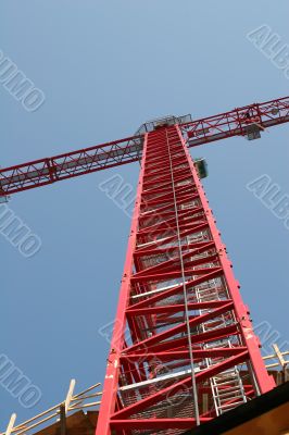 Red Crane into Sky
