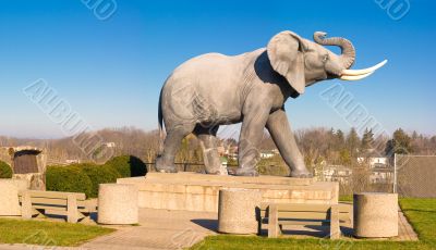 Jumbo The Elephant
