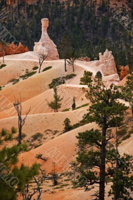 Bryce canyon, Utah