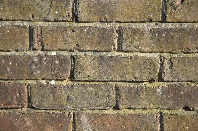 Brick wall