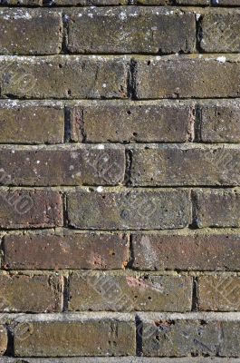 Brick wall