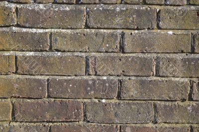 Brick wall