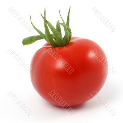 Tomato