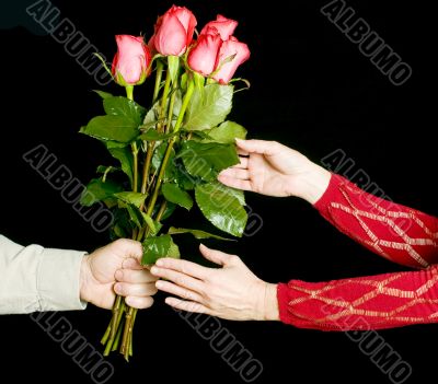 The gift of roses The gift of roses