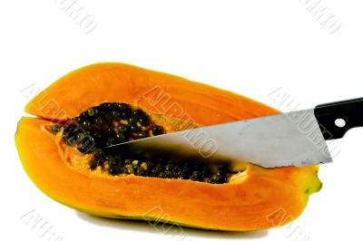 papaya (series2) papaya (series2)