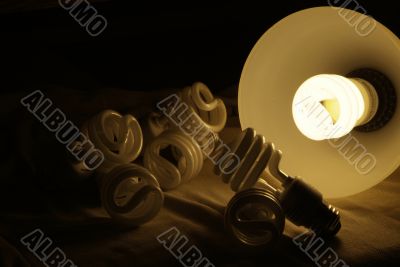 compact fluorescent light bulbs