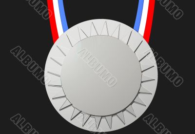 Silver medal