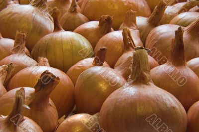 Onions Onions