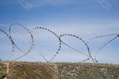 Barbed wire