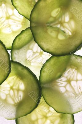 Cucumber Cucumber