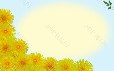 Dandelion background Dandelion background