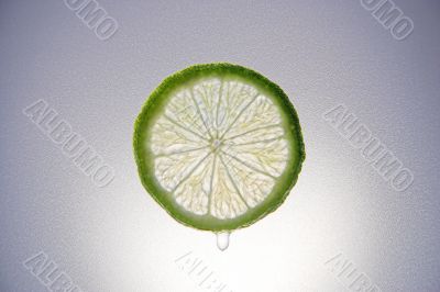 Lime Lime